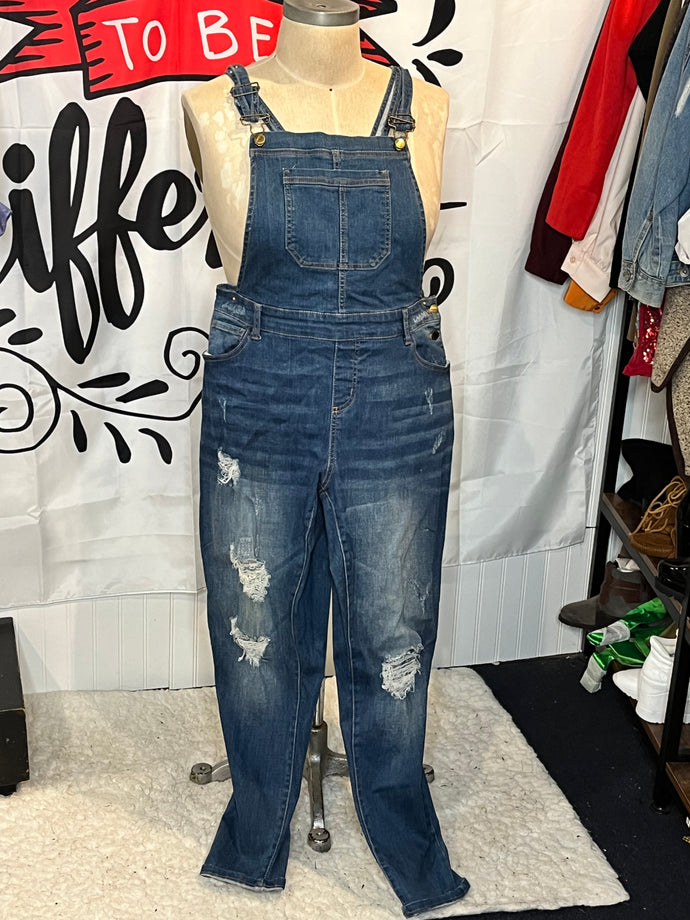 Skinny Leg Denim Overall